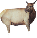 Cow Elk I Decoy