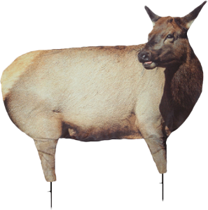 Cow Elk I Decoy