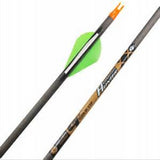 GT Hunter 400 Arrow w/2" Raptor Vanes